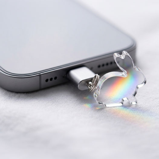 コネクトチャーム(ダストプラグチャーム)